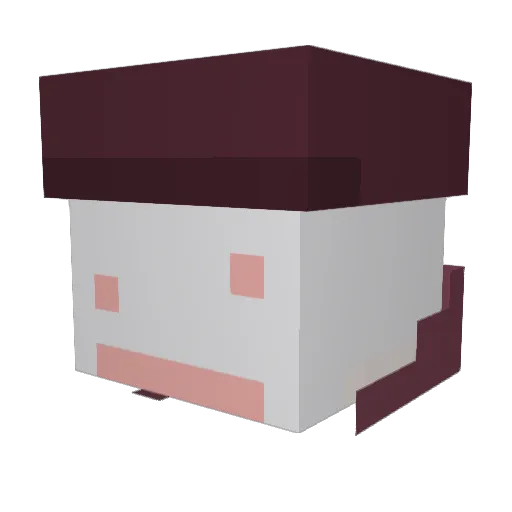 suables Minecraft avatar head, 3D render