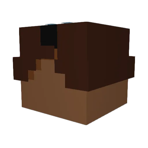 sub_____ Minecraft avatar head, 3D render