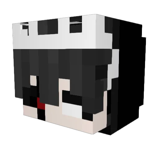 subblynks Minecraft avatar head, 3D render