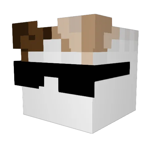 subensu Minecraft avatar head, 3D render