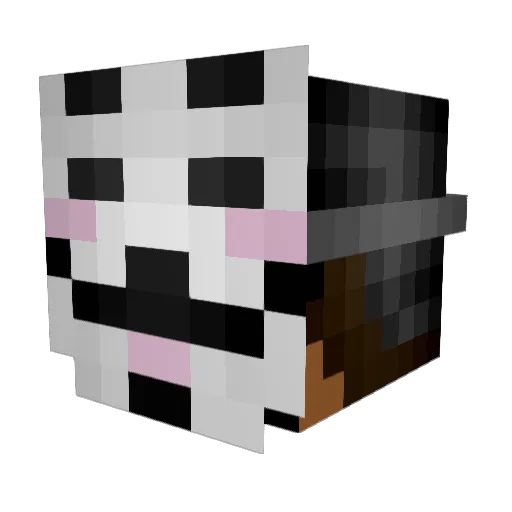 suber010 Minecraft avatar head, 3D render