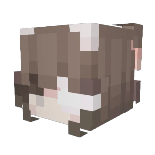 subin63 Minecraft avatar head, 3D render