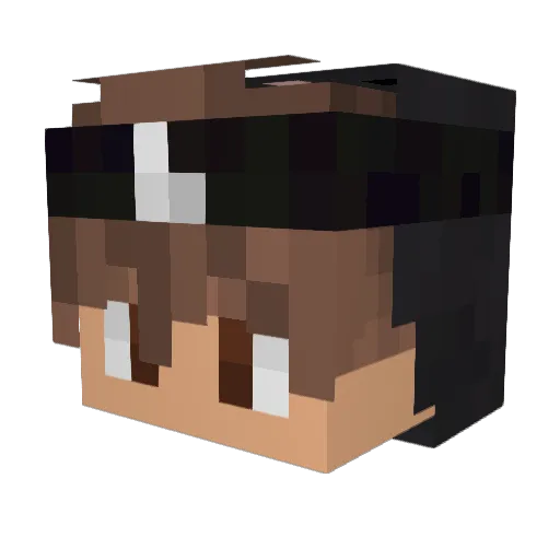 sublife Minecraft avatar head, 3D render