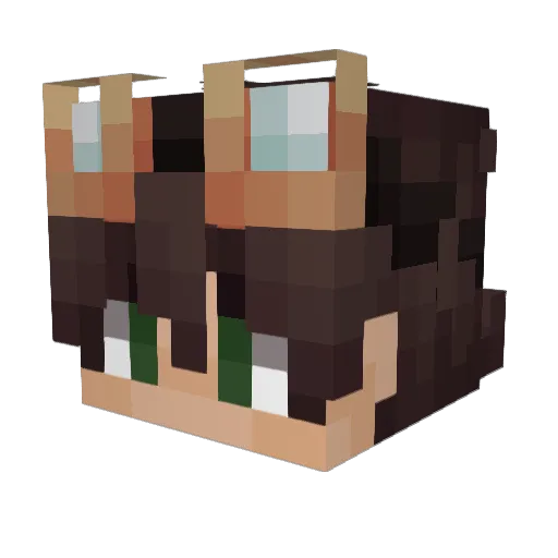 submechanophobia Minecraft avatar head, 3D render