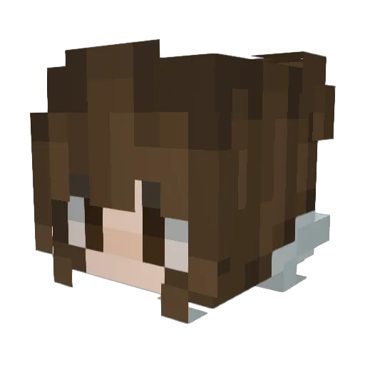 subnadir Minecraft avatar head, 3D render