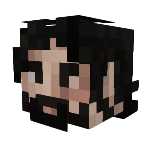 subprofits Minecraft avatar head, 3D render