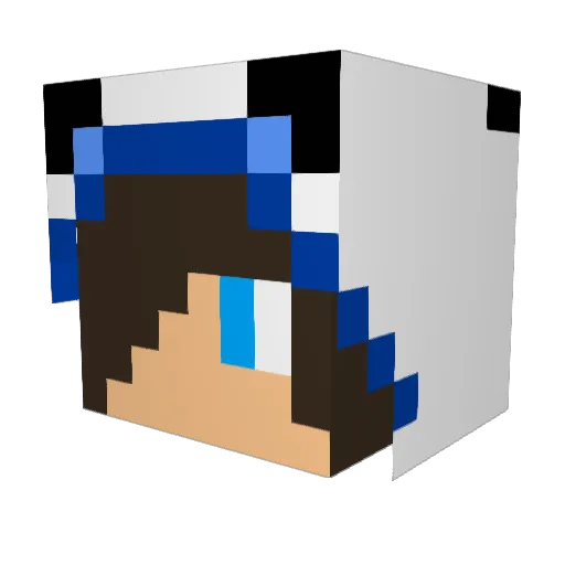 subsub_ Minecraft avatar head, 3D render