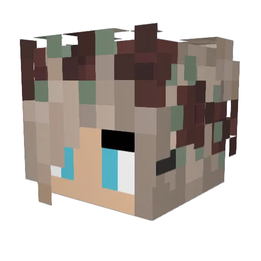 subwaymanager Minecraft avatar head, 3D render