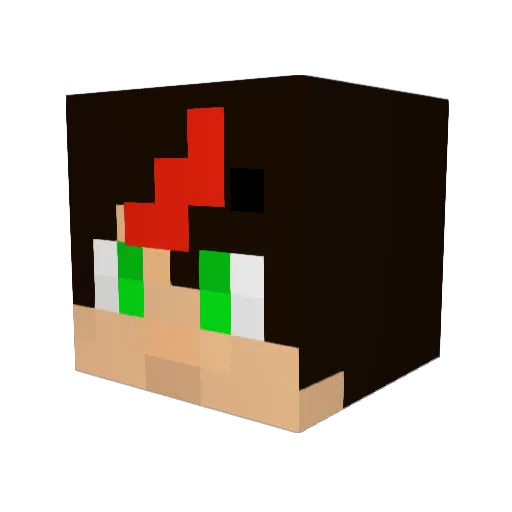 subwaynut Minecraft avatar head, 3D render