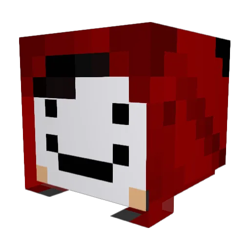 subzer02000 Minecraft avatar head, 3D render