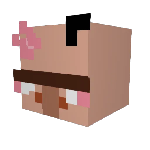 succ4abucc Minecraft avatar head, 3D render