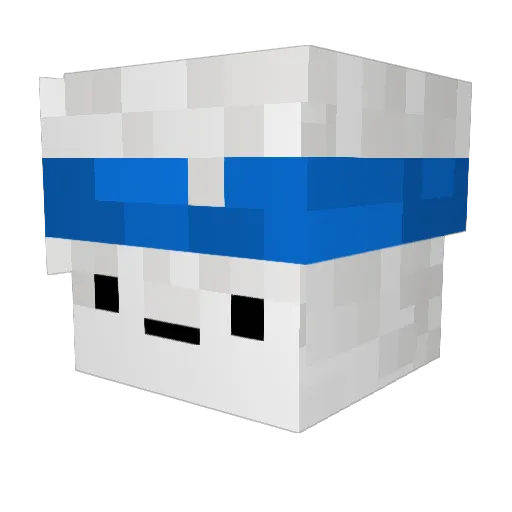 succ_me_dood Minecraft avatar head, 3D render