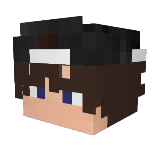 succe3d Minecraft avatar head, 3D render
