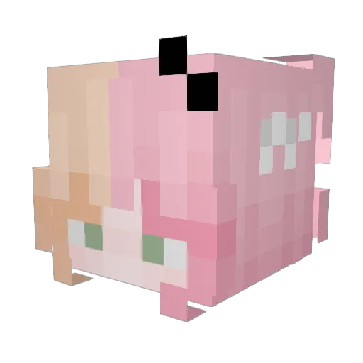 succuboz Minecraft avatar head, 3D render