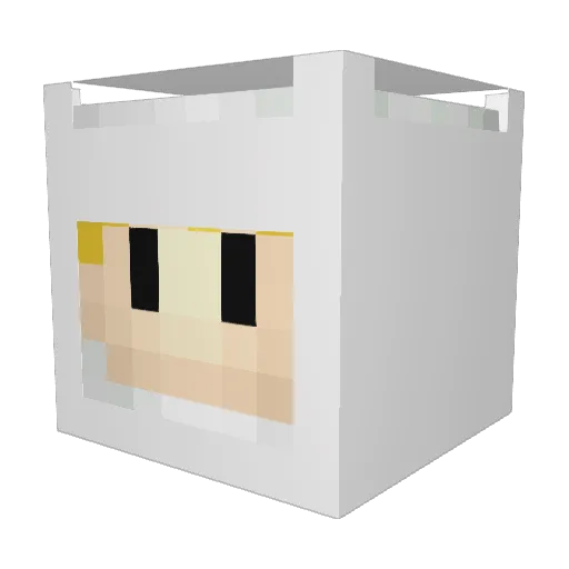 sucerpunch Minecraft avatar head, 3D render