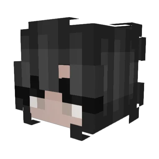 suchamagicrat Minecraft avatar head, 3D render