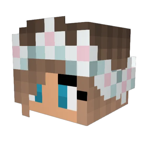 suchi123 Minecraft avatar head, 3D render