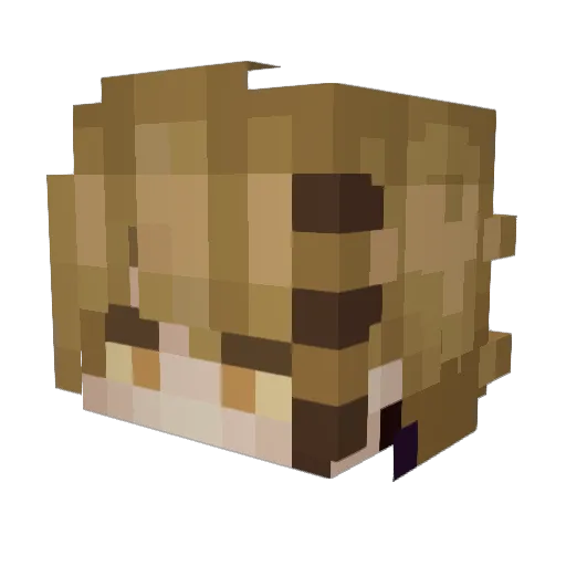 suckerpnnch Minecraft avatar head, 3D render