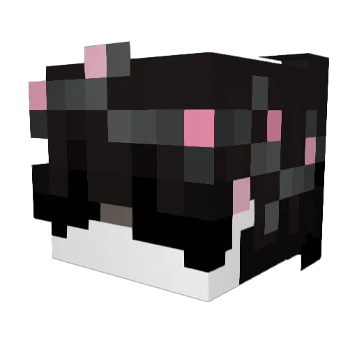 sucks2love Minecraft avatar head, 3D render