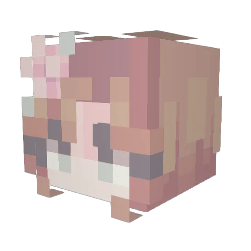 sudang_1217 Minecraft avatar head, 3D render