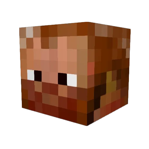 sudnama Minecraft avatar head, 3D render