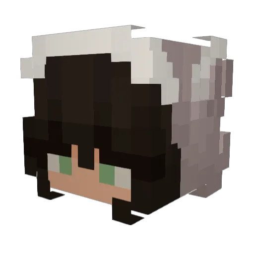 sudneyb Minecraft avatar head, 3D render