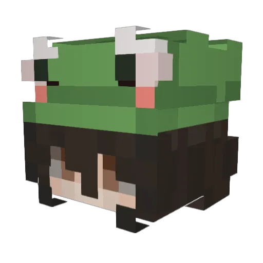 sudoeste Minecraft avatar head, 3D render