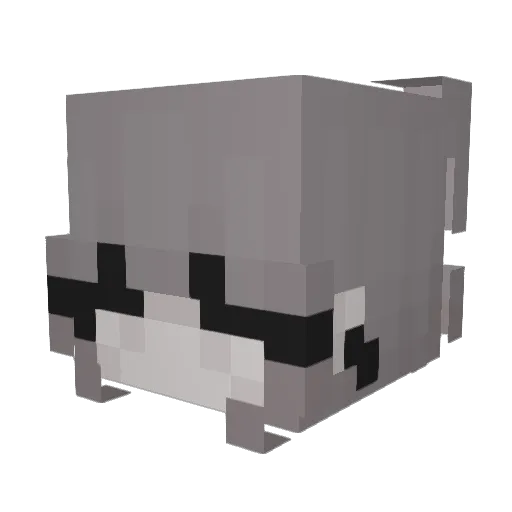 sudzune Minecraft avatar head, 3D render