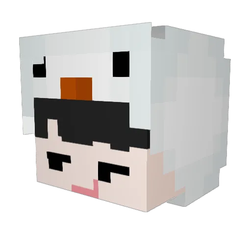 sue071209 Minecraft avatar head, 3D render