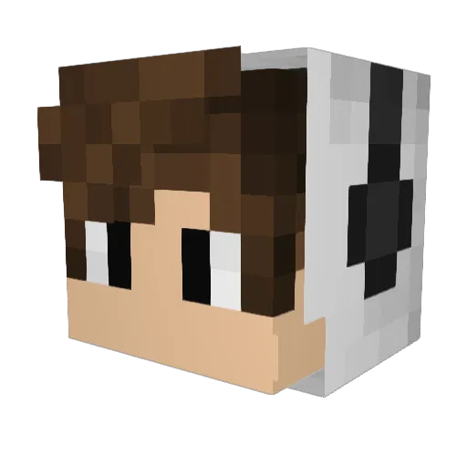 sueppchn Minecraft avatar head, 3D render