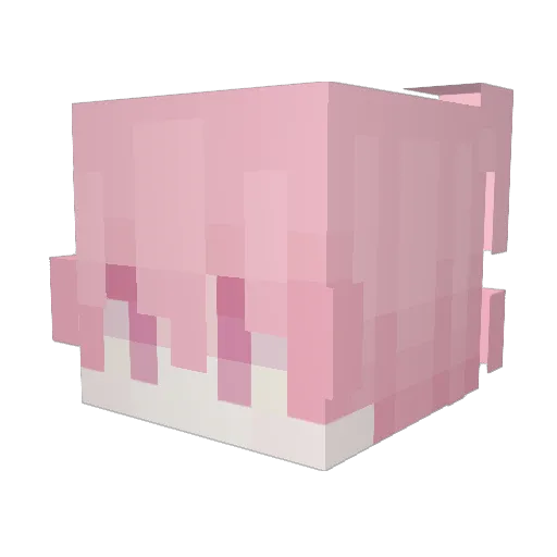 sufce Minecraft avatar head, 3D render