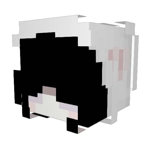 suffer0234902492 Minecraft avatar head, 3D render