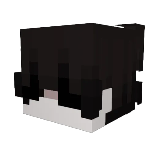 suffer07 Minecraft avatar head, 3D render