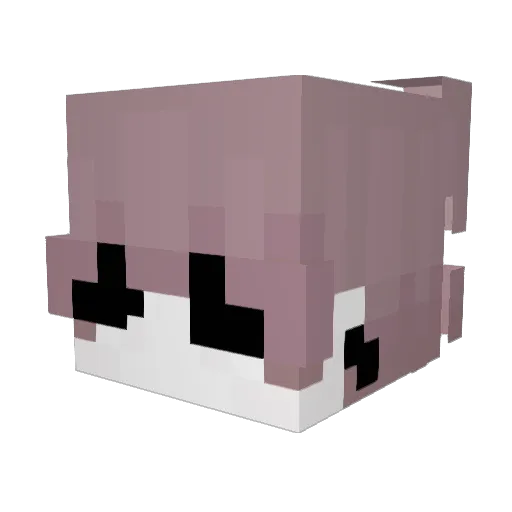 sufg Minecraft avatar head, 3D render