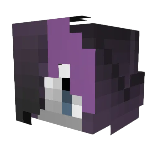 sug4rpumpk1n Minecraft avatar head, 3D render