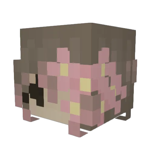 sugar3ds Minecraft avatar head, 3D render
