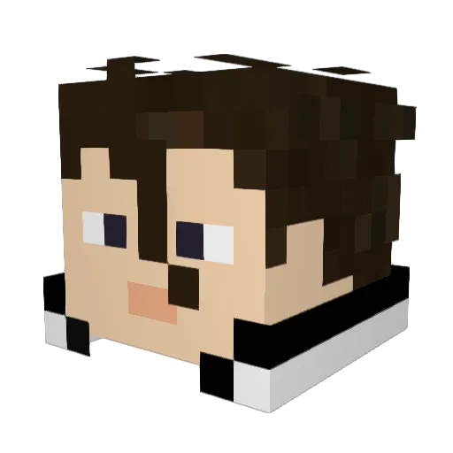 sugar9821 Minecraft avatar head, 3D render