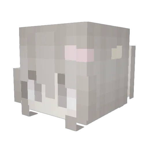 sugarappl Minecraft avatar head, 3D render