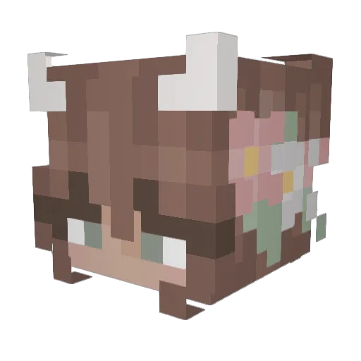 sugarcat04 Minecraft avatar head, 3D render