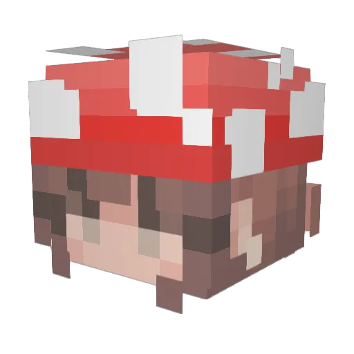 sugarcookie1280 Minecraft avatar head, 3D render