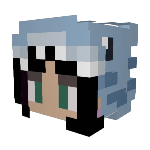 sugarglider2 Minecraft avatar head, 3D render