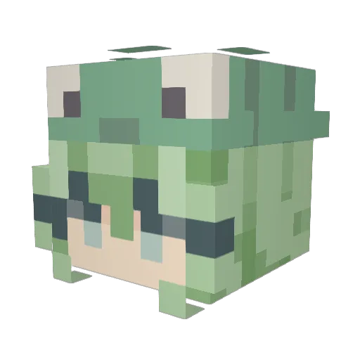 sugarkitty96 Minecraft avatar head, 3D render