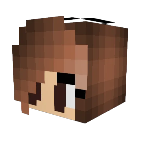 sugarpie41 Minecraft avatar head, 3D render