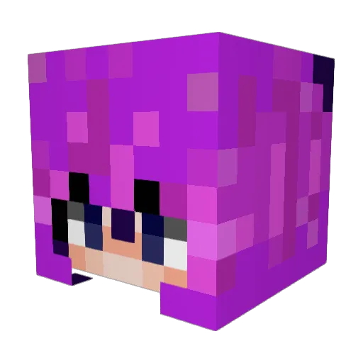 sugarplum0311 Minecraft avatar head, 3D render