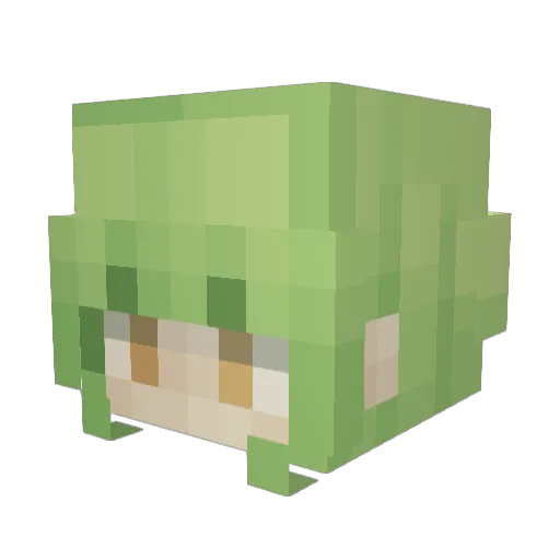 sugarpork Minecraft avatar head, 3D render
