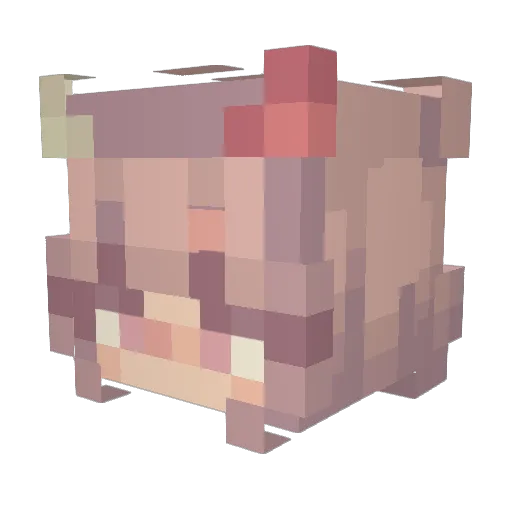 sugarpuppy09 Minecraft avatar head, 3D render