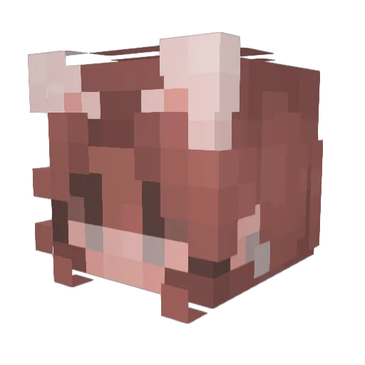 sugawvra Minecraft avatar head, 3D render