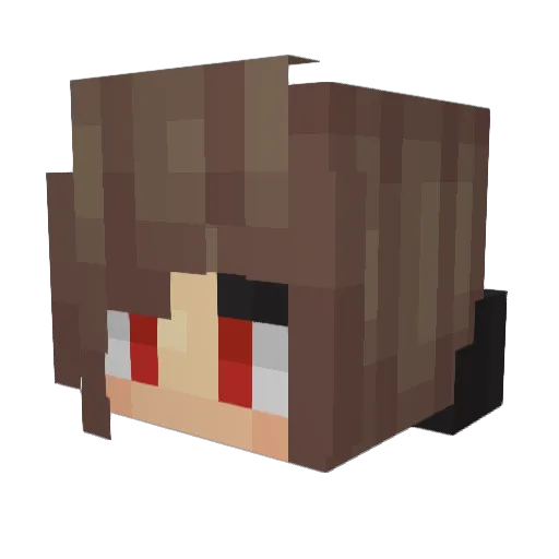 suger1116 Minecraft avatar head, 3D render