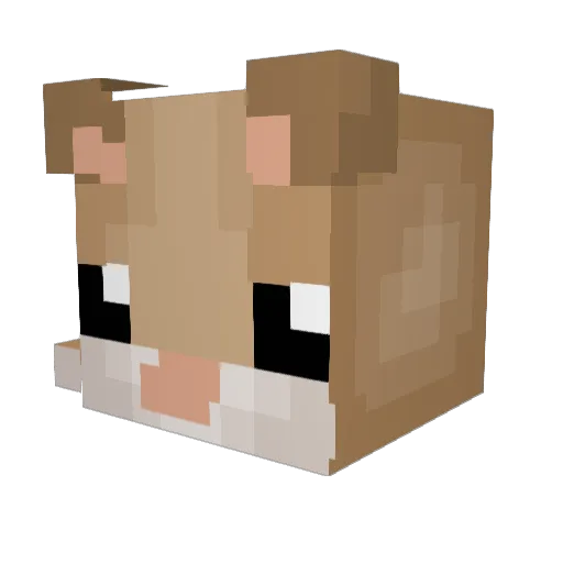sugerlaim Minecraft avatar head, 3D render