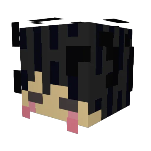 sugersuger Minecraft avatar head, 3D render